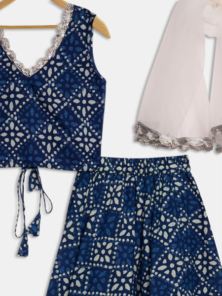 Cotton Printed Embellished Bias Lehenga Set