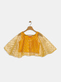 Net Gota Embroidered Cape Top