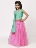 Net Sequins Embroidered Lehenga Set with Dupatta