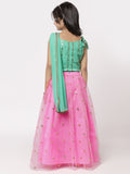 Net Sequins Embroidered Lehenga Set with Dupatta