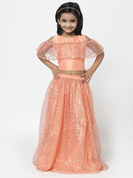 Net Sequins Embroidered and Dupion Lehenga Set