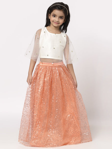 Net Sequins Embroidered Cape Lehenga Set