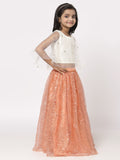 Net Sequins Embroidered Cape Lehenga Set