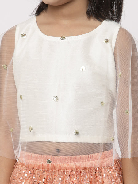 Net Sequins Embroidered Cape Lehenga Set