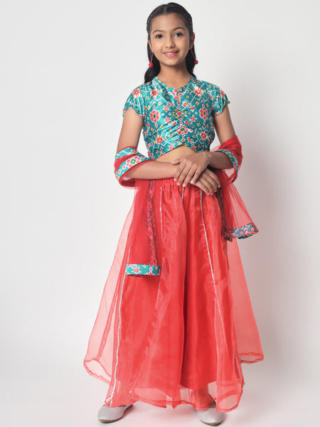 Organza Embellished Kalidaar Skirt