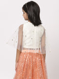 Net Sequins Embroidered Cape Top