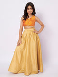 Dupion Embellished Top