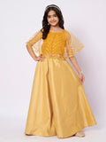 Net Gota Embroidered Cape Top