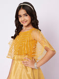 Net Gota Embroidered Cape Top