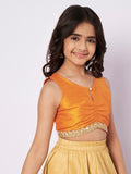 Dupion Embellished Top