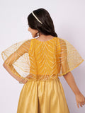 Net Gota Embroidered Cape Top