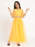 Cotton Leheriya Net Sequin Embroidered Skirt