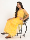 Cotton Leheriya Net Sequin Embroidered Skirt