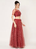 Net Gota Embroidered Kalidaar Lehenga Set