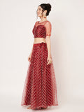 Net Gota Embroidered Kalidaar Lehenga Set