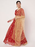 Organza Embroidered Bias Lehenga Set