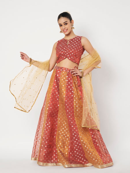 Silk Tissue Buti Kalidaar Embellished Lehenga Set