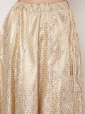 Silk Brocade kalidaar Skirt