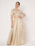 Silk Brocade kalidaar Skirt