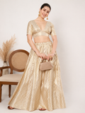 Silk Brocade kalidaar Skirt