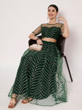 Net Gota Embroidered Kaildaar Skirt