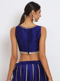 Dupion Embellished Crop Top