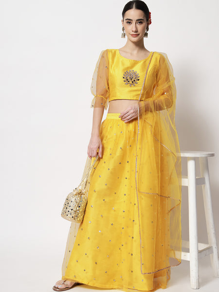 Dupion Mirror Work Embroidered Net Sleeves Crop Top