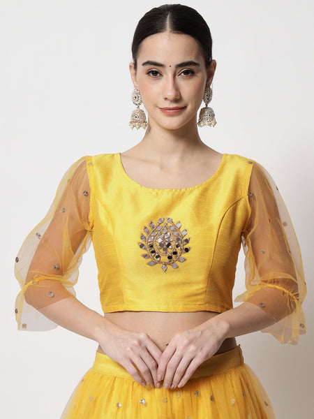 Dupion Mirror Work Embroidered Net Sleeves Crop Top