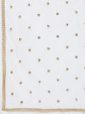 Net Sequin Embellished Dupatta