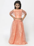Net Sequins Embroidered and Dupion Lehenga Set