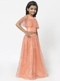 Net Sequins Embroidered and Dupion Lehenga Set
