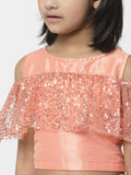 Net Sequins Embroidered and Dupion Lehenga Set