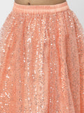Net Sequins Embroidered and Dupion Lehenga Set