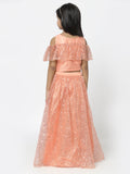 Net Sequins Embroidered and Dupion Lehenga Set