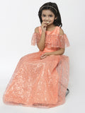 Net Sequins Embroidered and Dupion Lehenga Set
