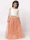 Net Sequins Embroidered Cape Lehenga Set