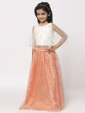 Net Sequins Embroidered Cape Lehenga Set