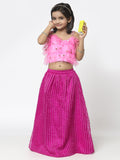 Organza Striped and Ruffles Lehenga Set