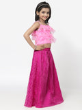 Organza Striped and Ruffles Lehenga Set