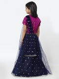 Net Sequins Embroidered Koti Lehenga Set With Dupatta