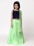 Net Pearl Embroidered Tie-up Lehenga Set With Dupatta