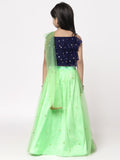 Net Pearl Embroidered Tie-up Lehenga Set With Dupatta