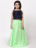 Net Pearl Embroidered Tie-up Lehenga Set With Dupatta