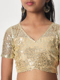 Net Sequin Embroidered Sheer Sleeves Top