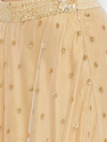 Net Sequins Embroidered Skirt