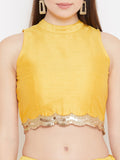 Dupion Sequin Embellished Crop Top