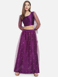 Dupion and Net Sequins Embroidered Crop Top