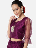 Dupion Mirror-work Embroidered Net Sleeves Crop Top