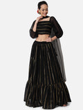 Georgette Linear Gota Embroidered Crop Top